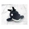 Takeoff Pokepuni Killer Whale