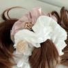 Amoamor Lace Gold Label Scrunchie - 2col