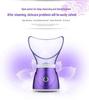 New Negative Ion Face Steamer & Humidifier for Hydrating and Beautifying Skin