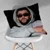 BBad Singer BBunny Throw Pillow Case Living Room Sofa Cushion Cover For Home Bedroom Decoration Protector