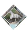 Noriker – Crystal Cube with a Horse Picture, Horse Picture In Crystal |