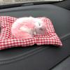Bambuskohle Katze Auto Ornament mit Schmuckunterlage und Simulationskätzchen.