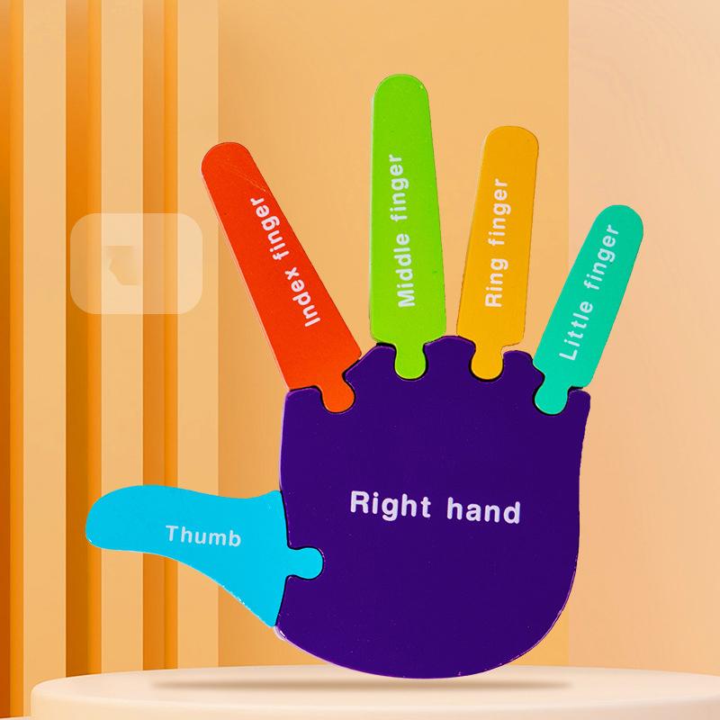 1 Paio Palmi e Piante Puzzle Cognitivo Puzzle Bambini dell'Asilo Struttura del Corpo Scienza Cognitiva e Giocattoli Educativi