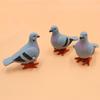 Pigeon Pigeon Model Pigeon Clockwork Toys Artificial Feather Figurine Animal Model Wind Up Toys