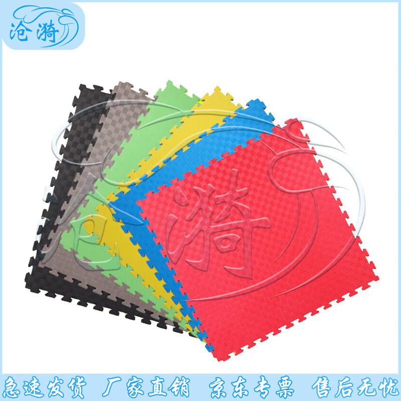 Cangyi Interlocking Foam Training Mat