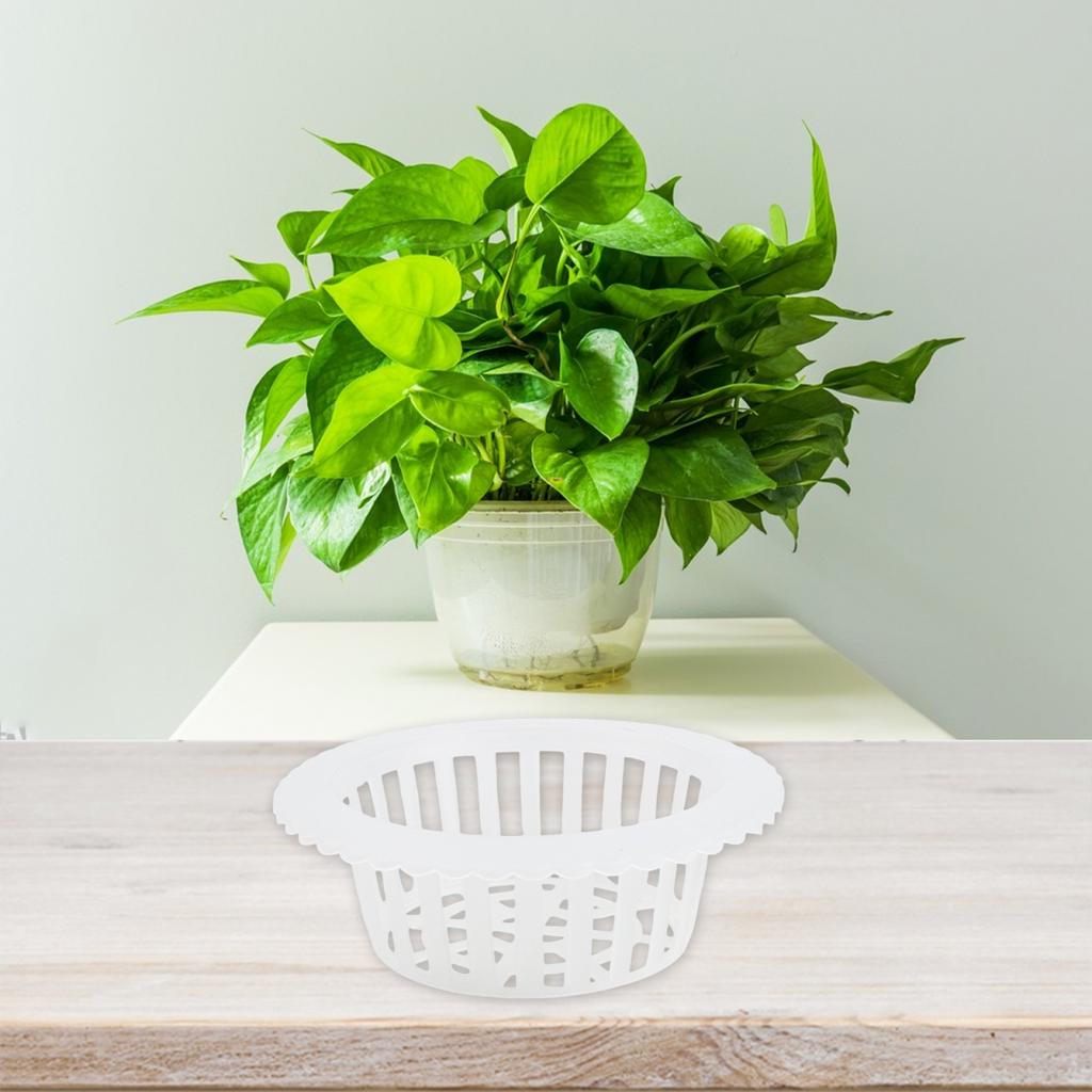 Aquatic Plants Flowerpot Insert Plants Growth Brand New