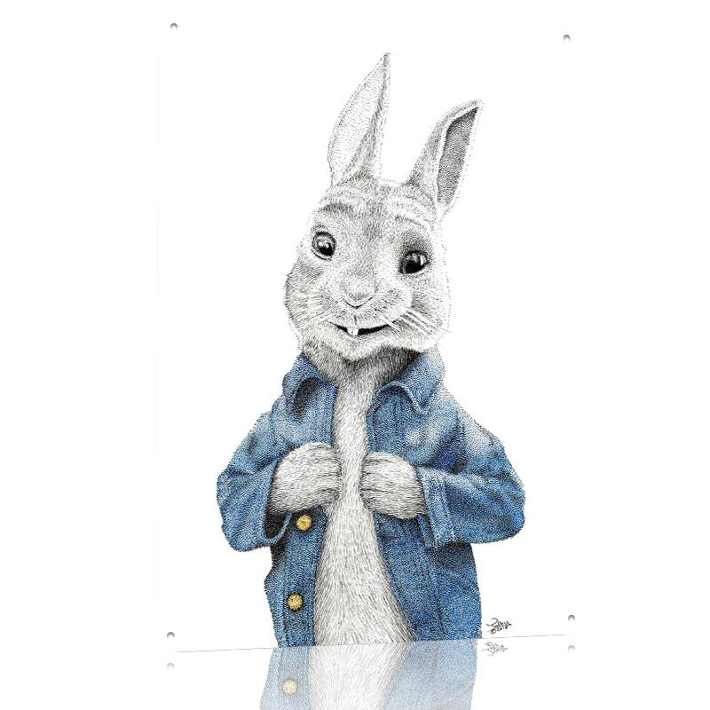 Peter Rabbit Tin Poster Customized Wall Art Retro Vintage Metal Signs for Fans Room Modern Home Decoration Luxury Bathroom Decor