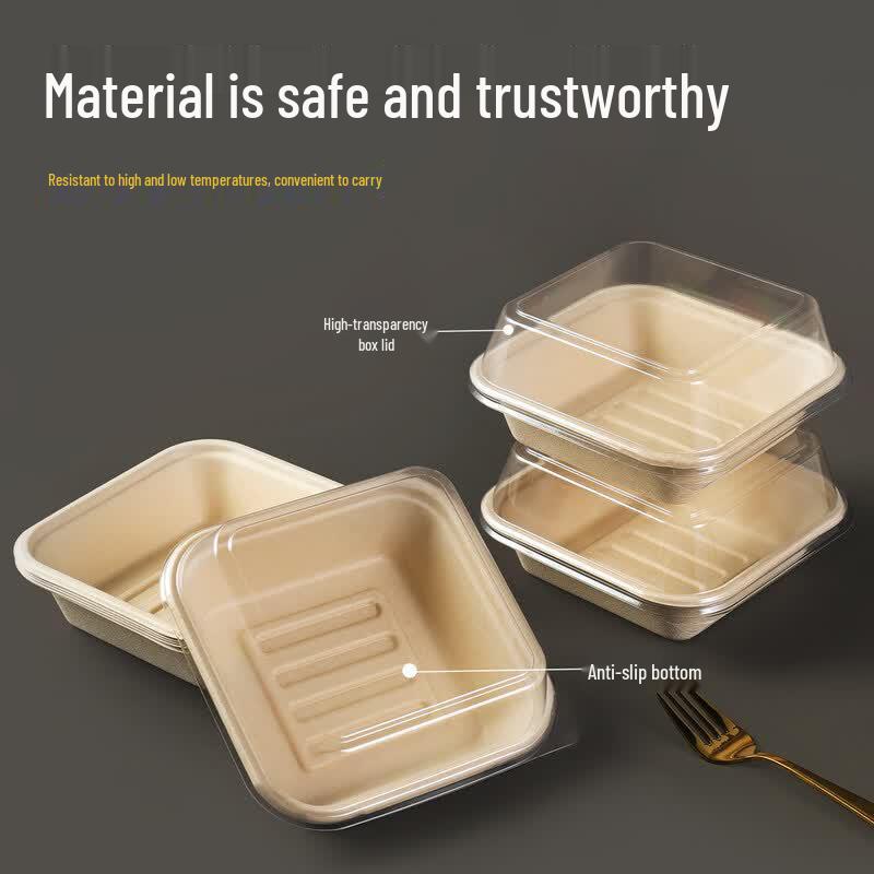 Disposable Pulp Food Containers