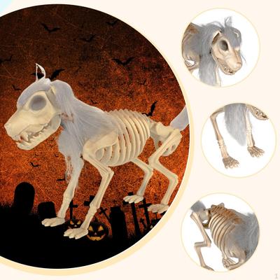 Halloweenská dekorace kostry psa 15x3,1x9,8 palce Učební pomůcka pro strašidelné domy Lehké zvíře