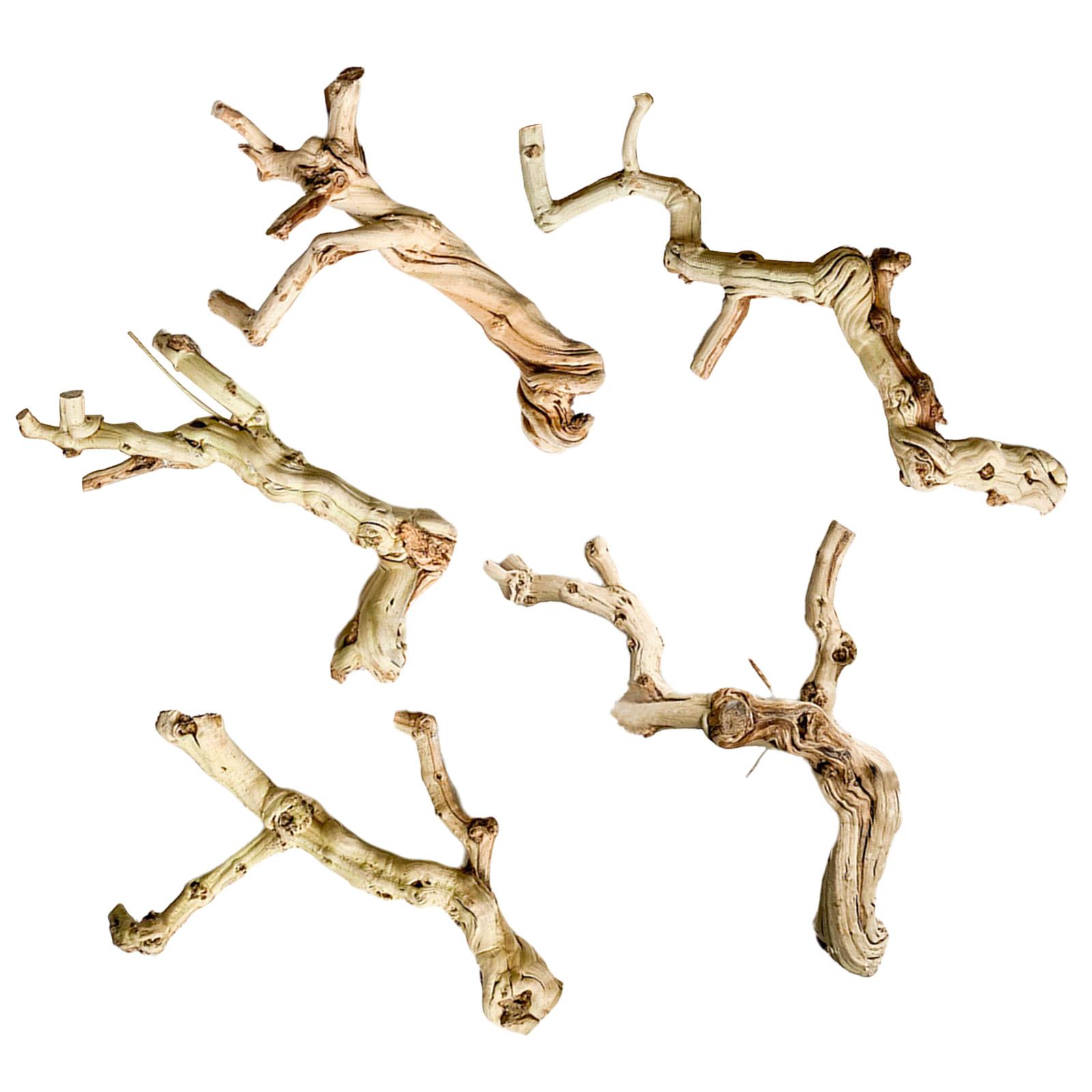 

Рептилії Печера для лазіння Натуральний стовбур для ящірок геконів Корч Деревне колода Натуральний стовбур Стовбур Корч