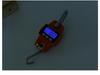300kg Mini Electronic Crane Hanging Scale for Cross-Border Trade