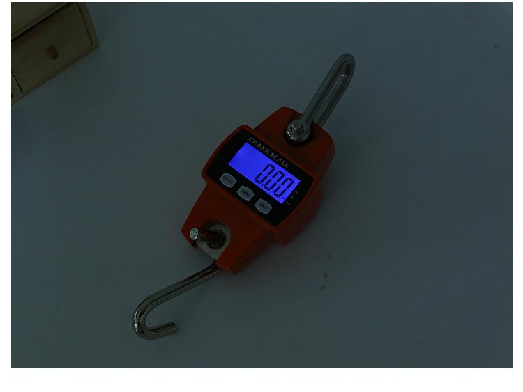 300kg Mini Electronic Crane Hanging Scale for Cross-Border Trade