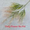 Artificial Arundinacea Phalaris Floral Decor For Living Room And Prop Photo