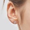 CRANNE 14K PLATED Clover Motif Post Earrings C24EB328