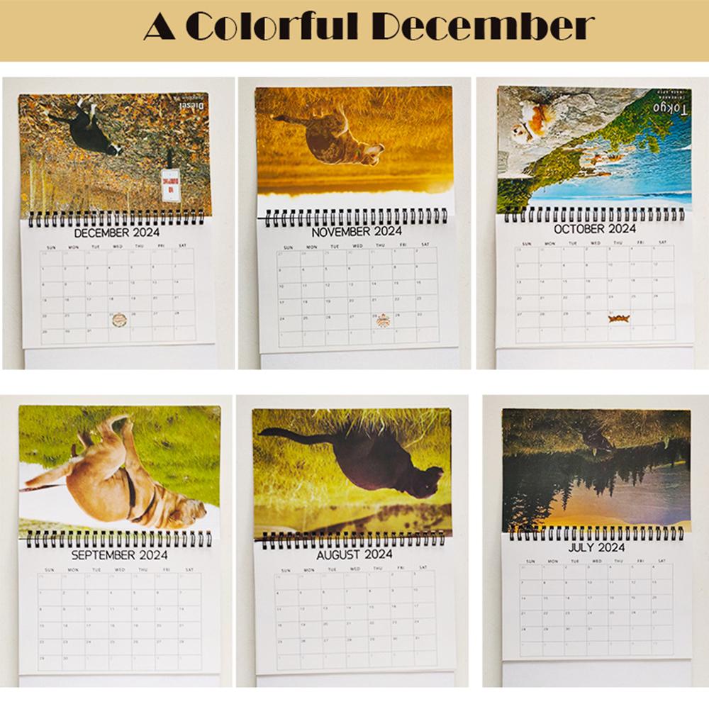 2024 Calendar Dogs Pooping in Beautiful Places Humor Gift Prank Calendar