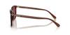 Sunglasses 0HC8411U TRANSPARENT MAHOGANY 55 [Coach]