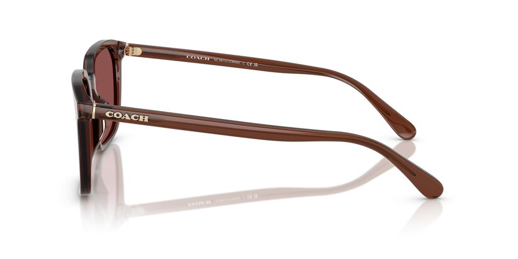 Sunglasses 0HC8411U TRANSPARENT MAHOGANY 55 [Coach]
