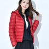 Cappotto da donna autunno inverno imbottito con cappuccio spesso manica lunga caldo tinta unita liscio slim fit chiusura con cerniera tasche cardigan giacca cappotto in cotone da donna