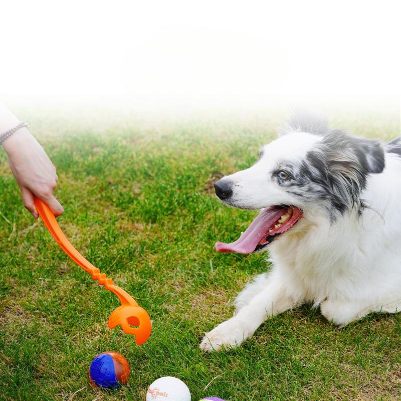 Rzucanie kijem Outdoorowa zabawka interaktywna dla psów średnich i dużych Labrador Golden Retriever