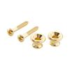 Scud strap pin Gibson type 2pcs set with screws gold EP-1G