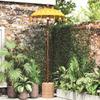 Balinese Parasol Yellow 125 X 125 X 260 Cm
