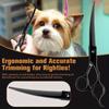 6.5"Black Professional Dog Grooming Scissors Set Straight Scissor Curved Thinning Shear