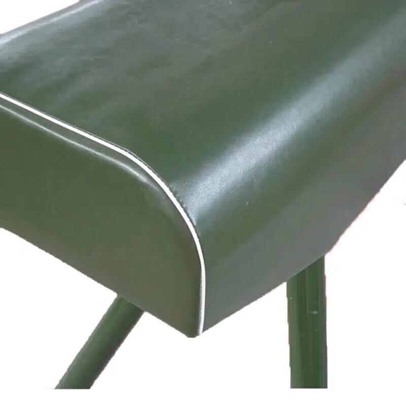 Gymnastics Training Pommel Horse
