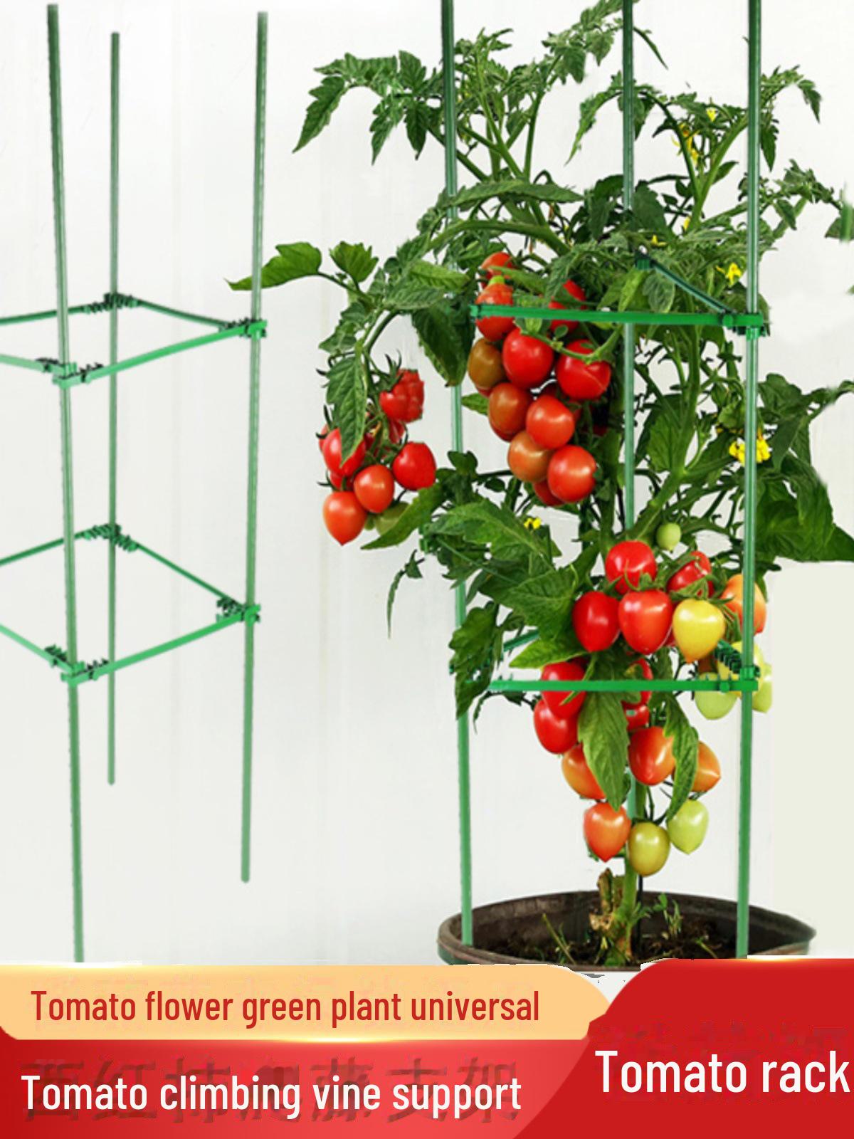 

Подставка для садовых растений: томаты, розы, клематисы и огурцы Medium