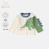 Banxidi Boys' Autumn Long-Sleeve T-Shirt