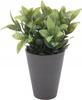 Artificial Decorative Plant In a 17 Cm Pot
