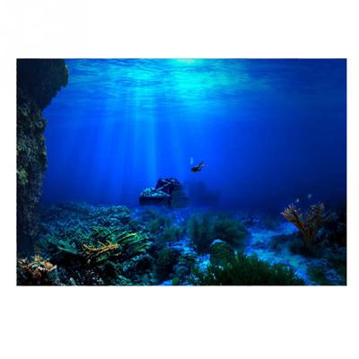 Fish Tank Background Decorative Painting Plants Hd Aquarium Landscape Sticker