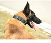 Nylon Wear-Resistant Adjustable Dog Collar for Medium To Large Dogs - Tactical Outdoor Training Collar