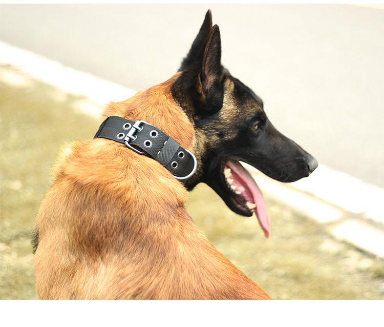 Nylon Wear-Resistant Adjustable Dog Collar for Medium To Large Dogs - Tactical Outdoor Training Collar