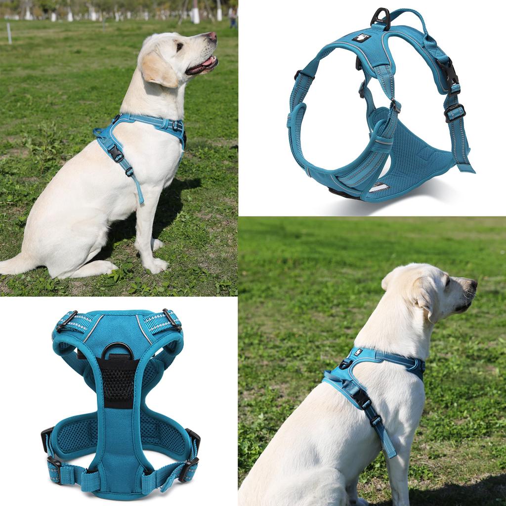 Paradise Classic Dog Official Japanese Popular Dog Easy to Put 3M Walking TRUELOVE J&C Harness, Store, Harness, on, Breathable, Adjustable,