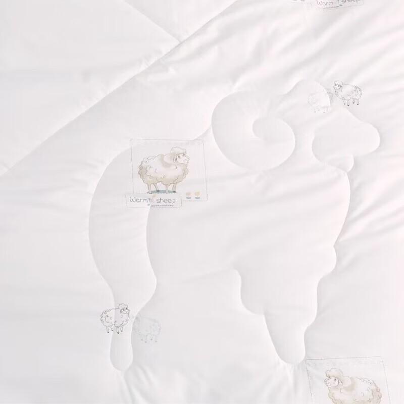 Hengyuanxiang Anti-bacterial Wool Quilt