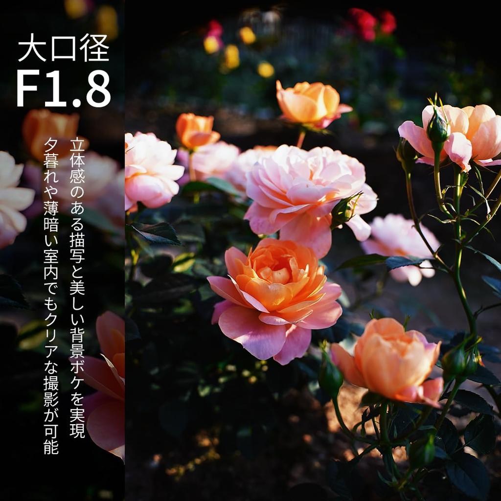 25mm Micro Four Thirds Compatible Manual Focus Pancake Single for Lightweight Metal Black SG-image F1.8 (MFT) Lens, Focus, Snapshots, Barrel, (2-Year