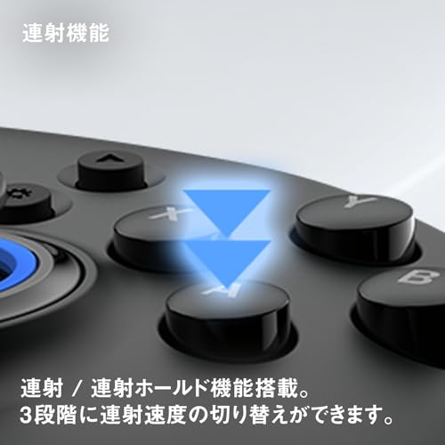 Horipad for Windows PC (Stick Straight Type)