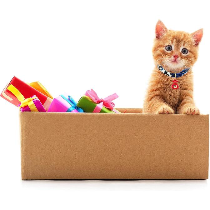 

Cat Collar with Bell, 1 Pack Blue Japanese Style Waves Print Pet Collar Adjustable Cat Collar with Fortune Bell for Small Cats Puppy Pets, M L