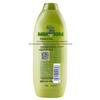 Rejoice Daily Care Dual-Effect Oil Control Refreshing Shampoo