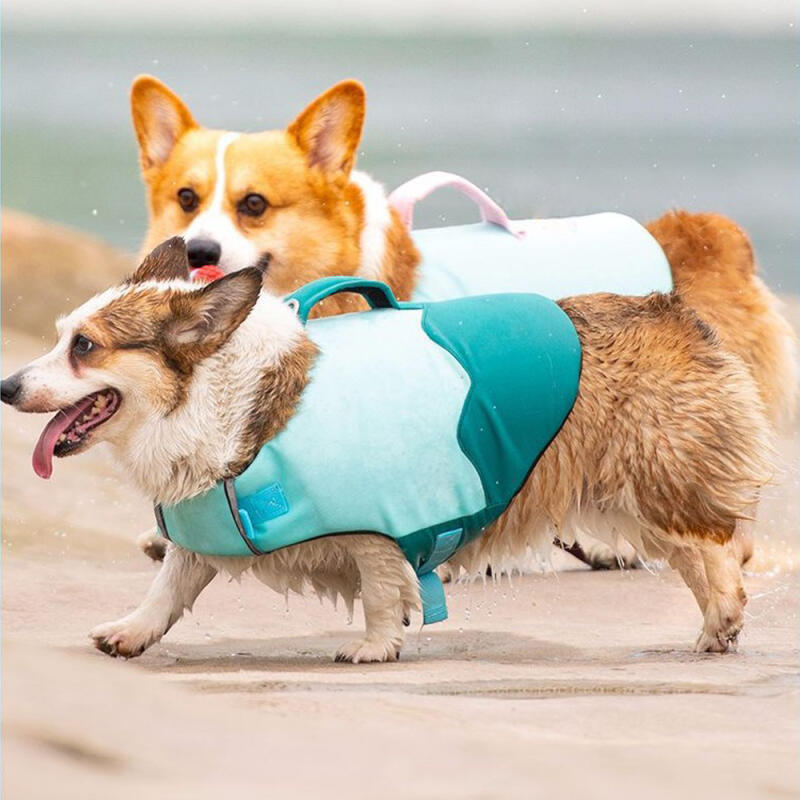 Ddungdung Candy Dog Life Jacket Dog Swim Tube S Mint