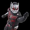 Hasbro Marvel Legends Series Ant-Man, Ant-Man and the Wasp: Quantumania 6-inch (15cm) Action Figure, Ages 4 and Up, F6573, Authentic