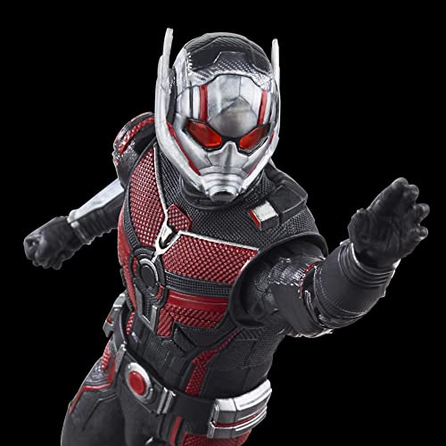 Hasbro Marvel Legends Series Ant-Man, Ant-Man and the Wasp: Quantumania 6-inch (15cm) Action Figure, Ages 4 and Up, F6573, Authentic