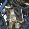 Radiator Guard Fits Royal Enfield Himalayan 450 | Black - Silver
