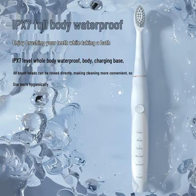 Premium Rechargeable Sonic Electric Toothbrush CN Plug (adapter Included)
