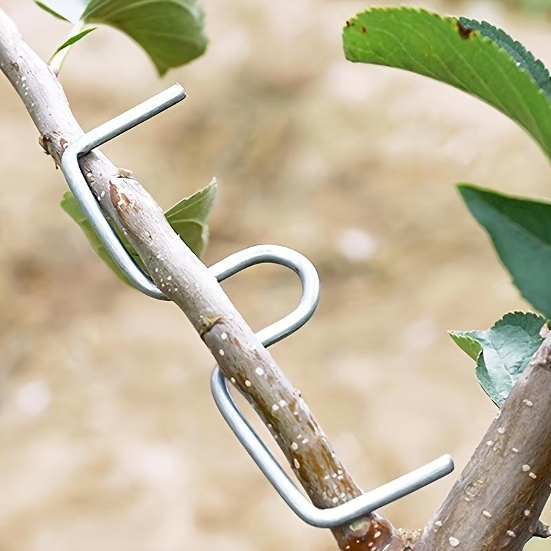 10pcs of Metal Branch Pruners, Tools for Shaping Garden Flowers
