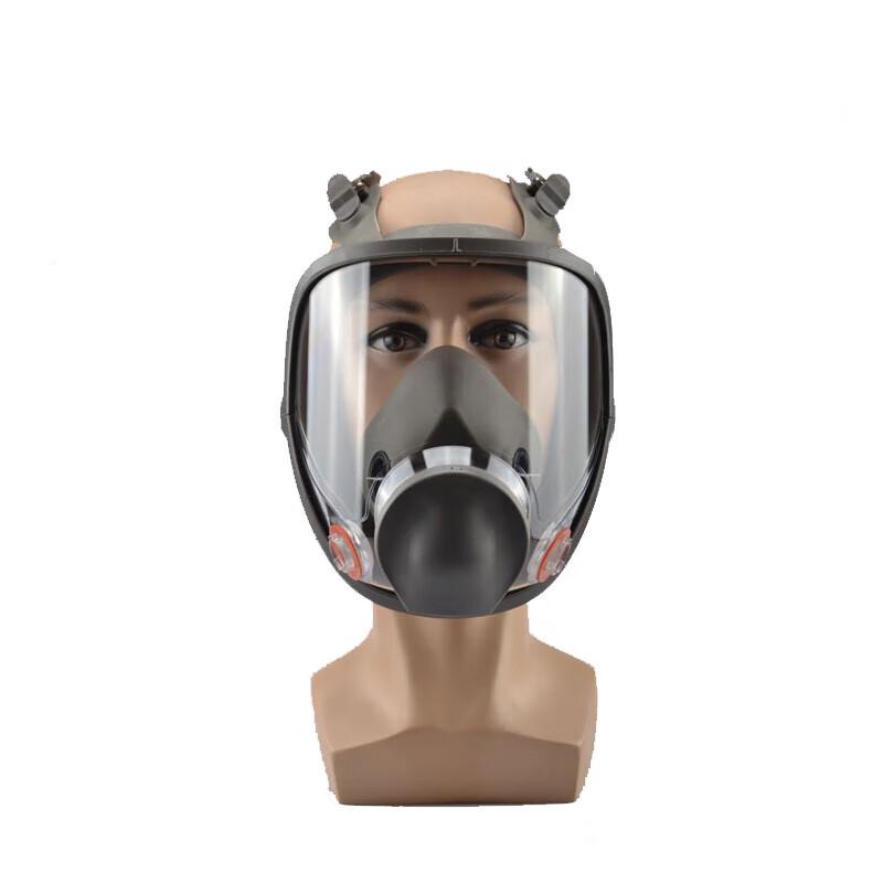 Eagle Beak Dragon KN95 Full Face Respirator Mask One Size