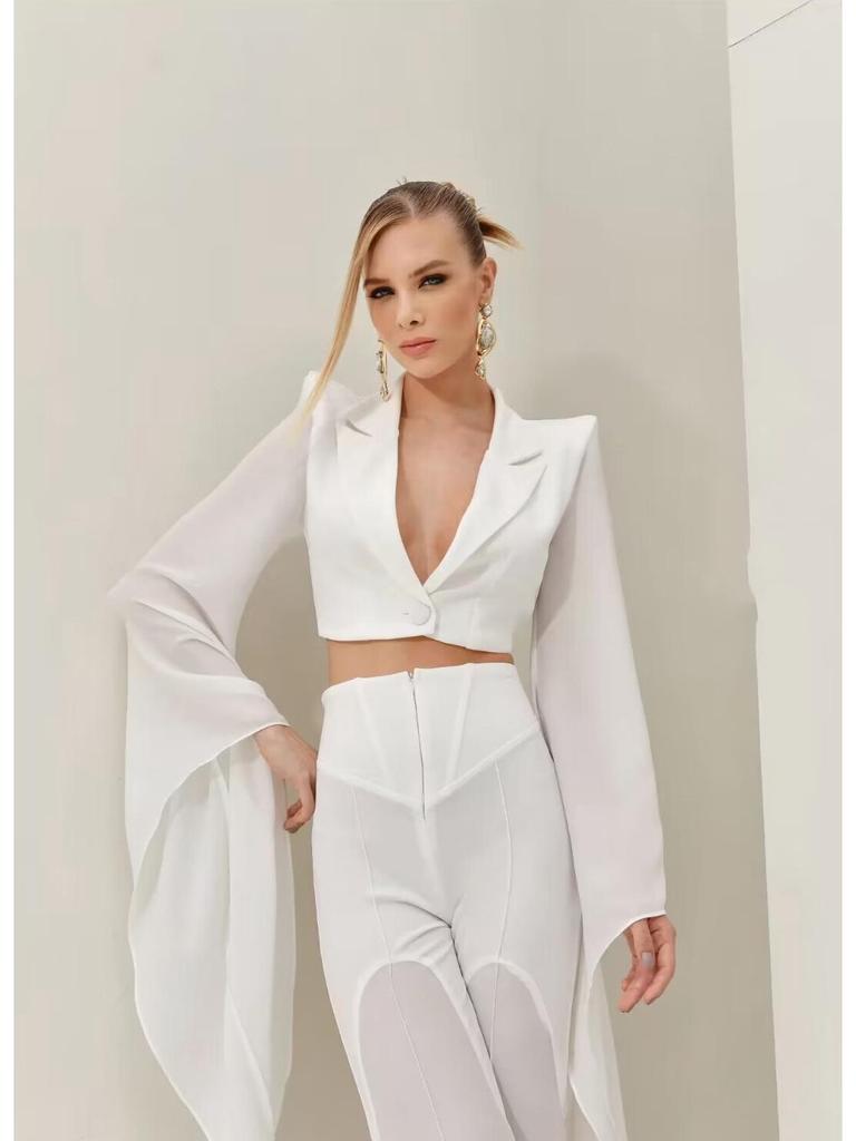 Women's Sheer Wide-Leg Blazer Set