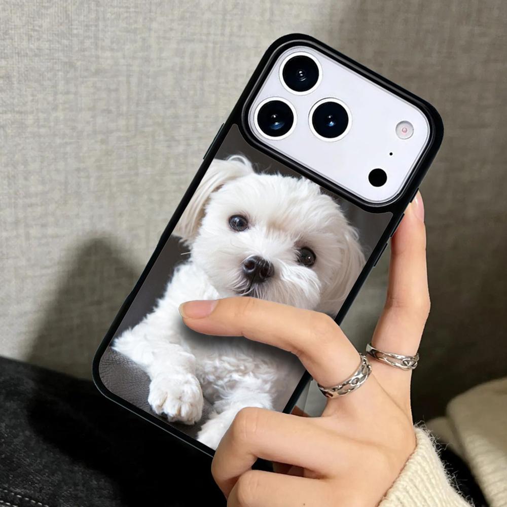 Capa Case for iPhone 17 Air 16 Pro Max 15 Plus 11 13 Mini 14 12 Back Phone Cover Maltese Dog Puppy
