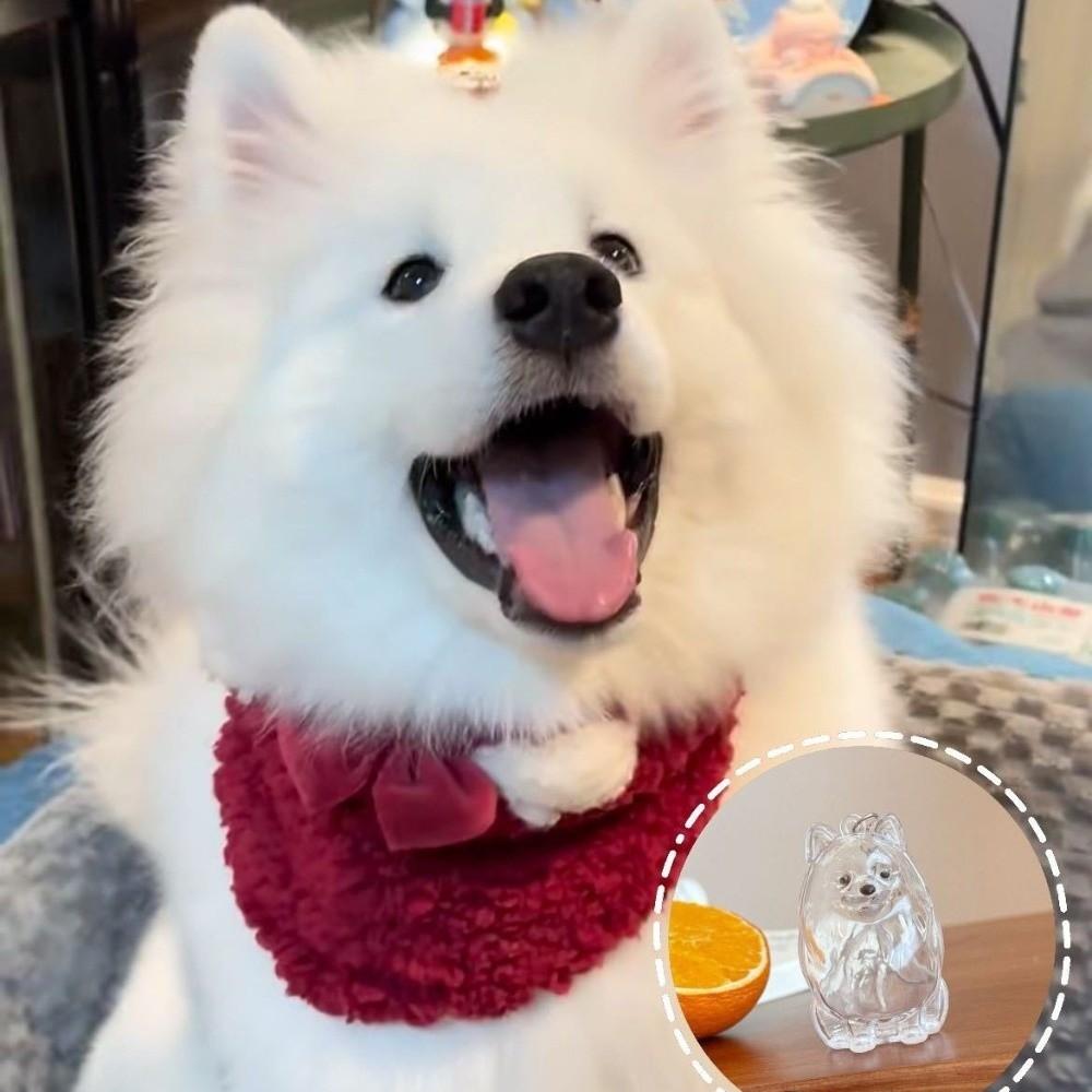 Transparent Dog Fur Storage Pendant Fur Storage Capsule Handmade Design Dog Shape Keychain DIY Accessories