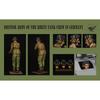 Valkyrie Miniature 1/35 British Army of the Rhine BAOR Tank Crew Set Germany 1960-1970s 2 Figures & 1 Bust Resin Kit VM35014